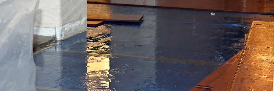 how fast does mold grow after water damage in Orlando