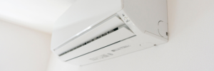 mold in AC system Orlando