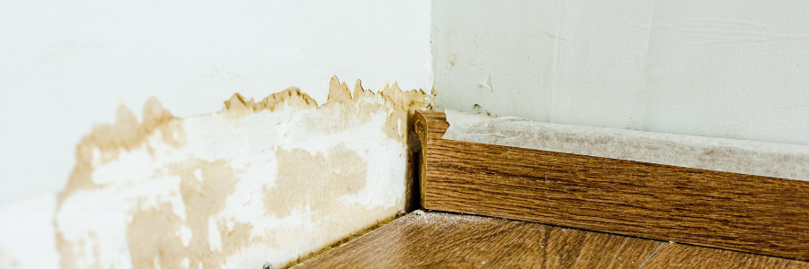 hidden water damage signs