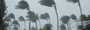 storm damage restoration Orlando