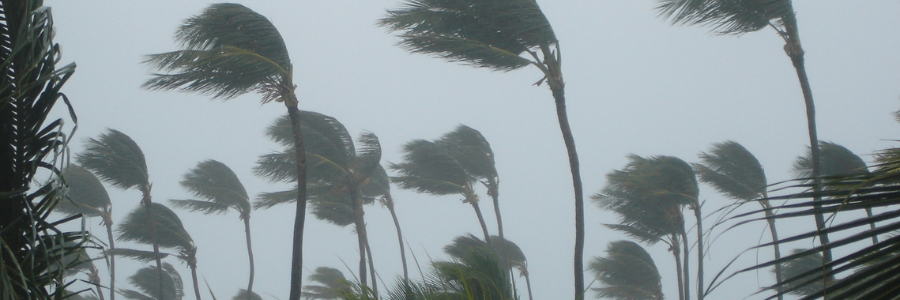 storm damage restoration Orlando