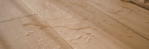 what to do after water damage Orlando