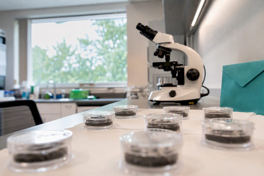 Spore trap samples and lab equipment on bench
