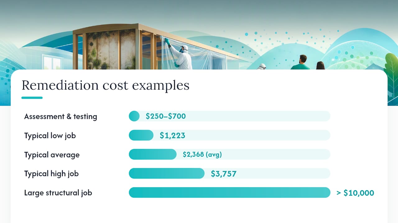 When Should You Hire a Professional, and What Will It Cost? — overview diagram